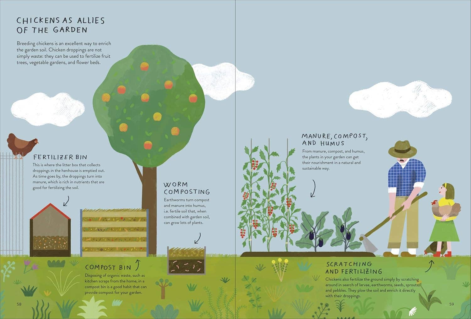 Chronicle Books - Wholesale Early Reader Book (6-8) - Chickenology8