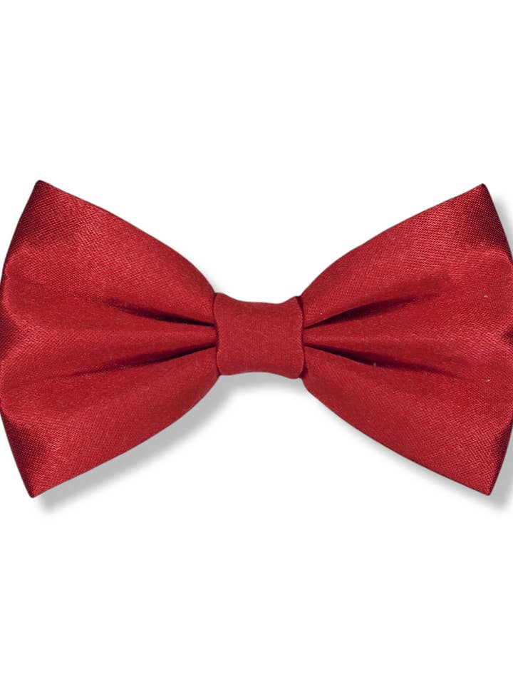 Nœud en satin rouge pour l'amour pour la vente par Pawtastic Attire