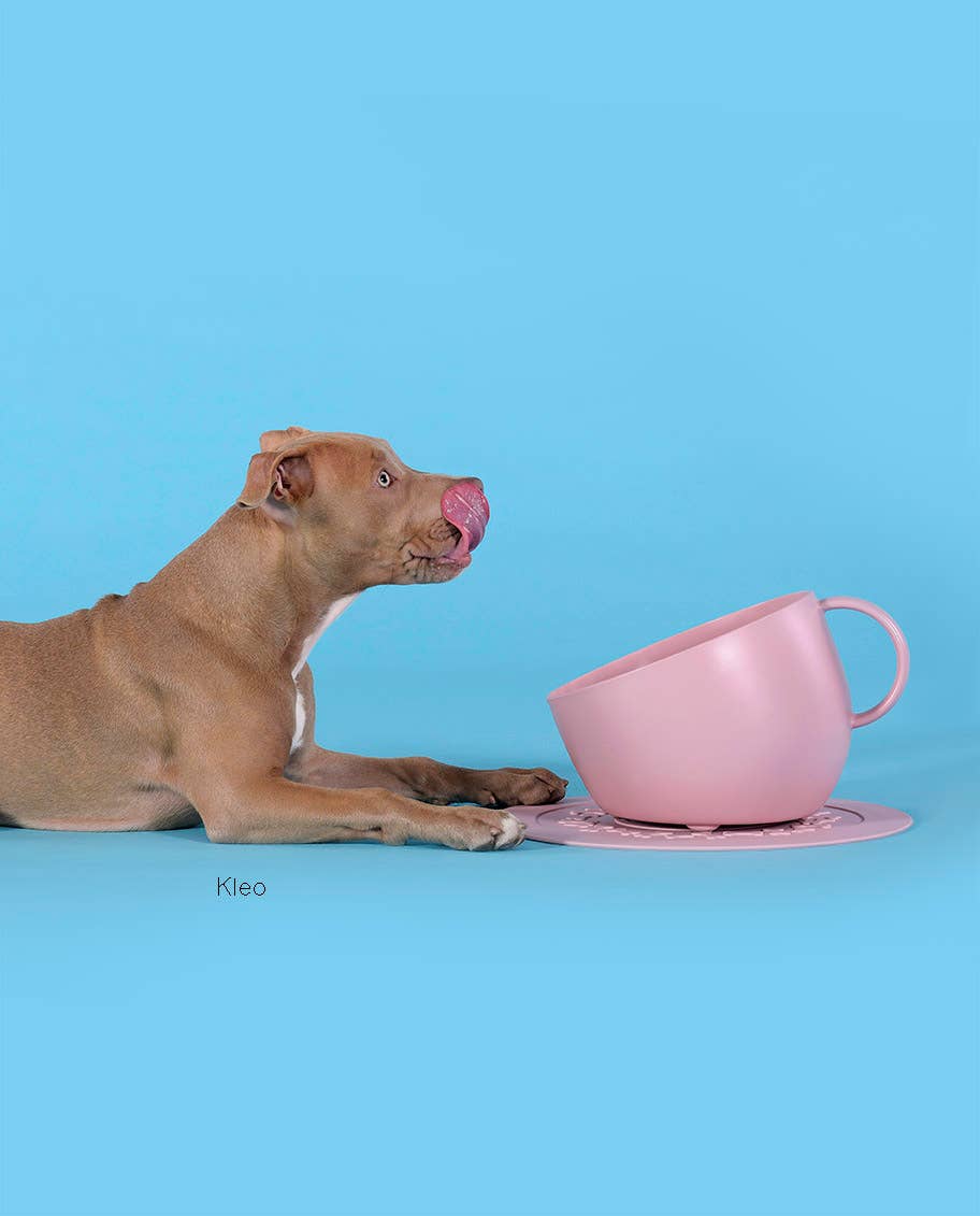 United Pets - Wholesale Pet Bowl - Cat/Dog - Eco-friendly anti-splash tall bowl for food and water3