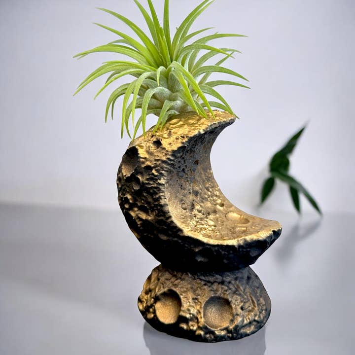 Planters Made in the USA – wholesale Plant pot – Moon Air Plant Holder, Celestial Planter Pot, Tillandsia 1
