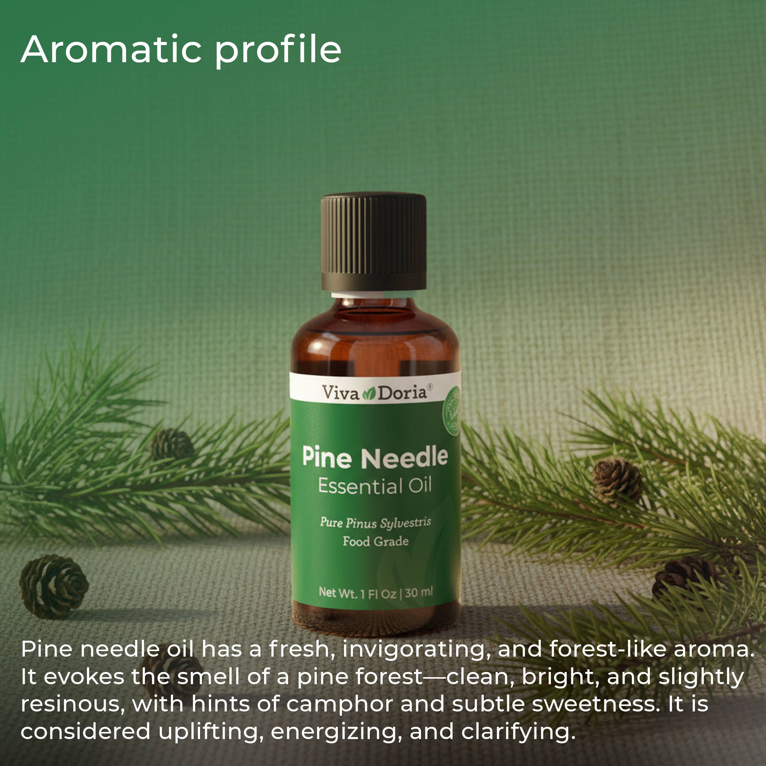 VIVA DORIA INC. - Wholesale Essential Oil - Pine Needle Essential Oil, Food Grade 30 mL (1 Fluid Ounce) 3
