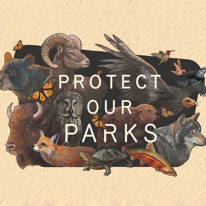 Proteger os Nossos Parques - Fauna por atacado de Jenn Joslin Art & Nature