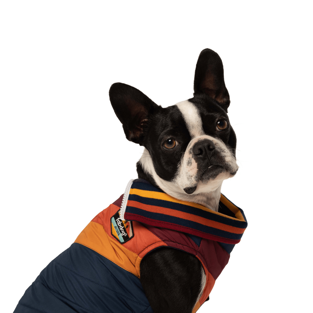 fabdog - Wholesale Pet Coat - Dog - Navy Chevron Jacket3