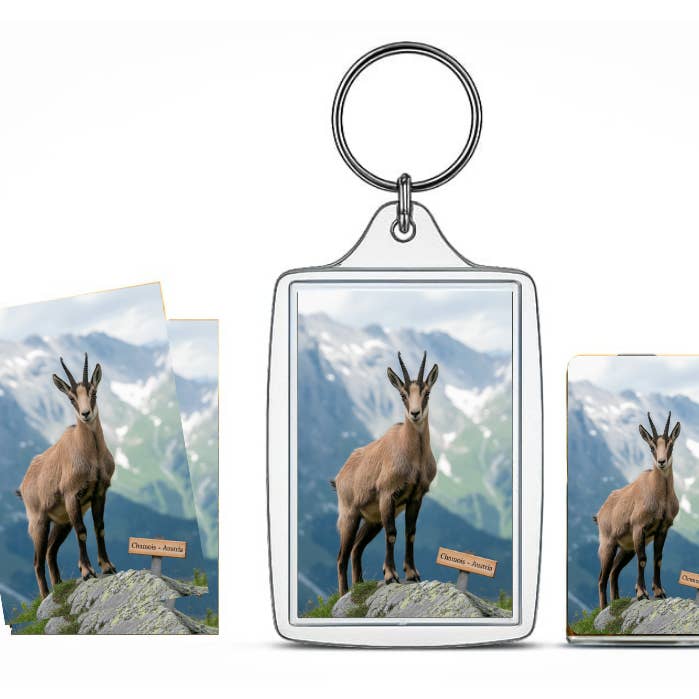 AB Crystal Collection - Wholesale Keychain - Unisex - Chamois Souvenir Set – Keychain, Magnet and Photo Wallets1