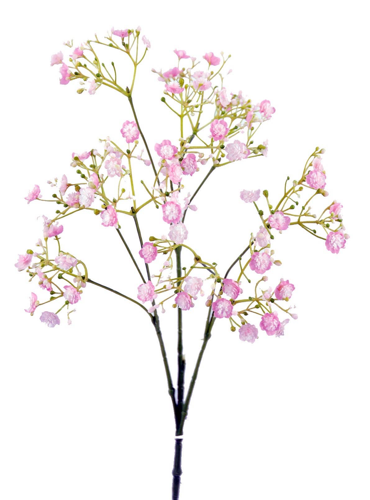 Aguilar Málaga - Wholesale Artificial Flowers - V.Gypso Plast. Rose 68 cm (17)