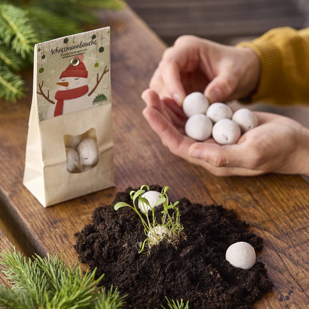 TDJ Stadtgärtner GmbH - Wholesale Zaadjes voor platten - Sneeuwpopbollen - witte bloemenmarbels2