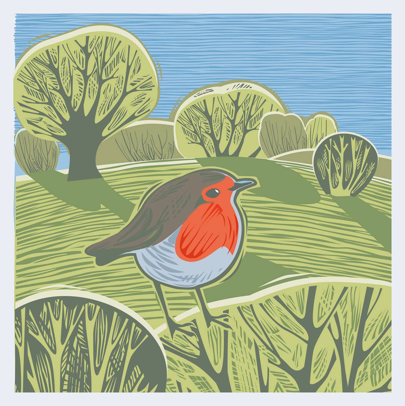 Dyson Design – wholesale Everyday greeting card – CC13 ROBIN Greeting Card British Wildlife Illustration 0