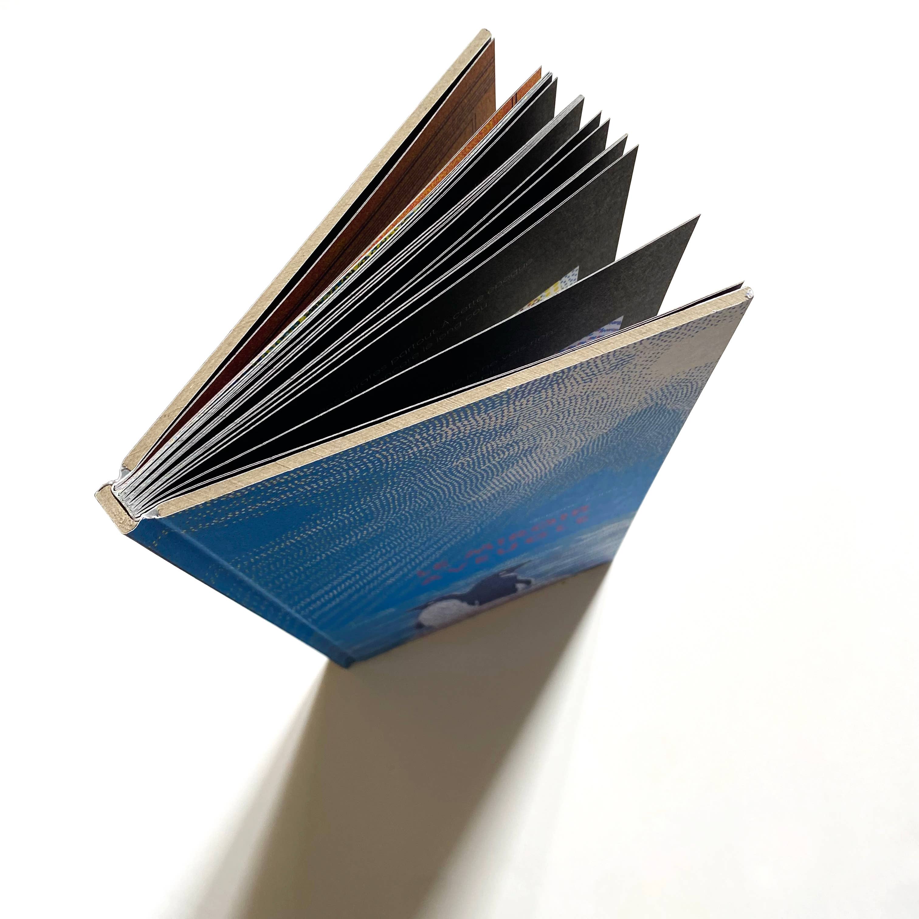 La Partie - Wholesale Graphic Novel - The Blind Mirror / Humor / Graphic Inventiveness / Memory1