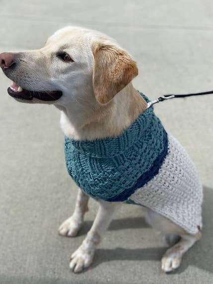 Pull pour chien en laine colorblock The High Tide pour la vente par Leni Knits Limited