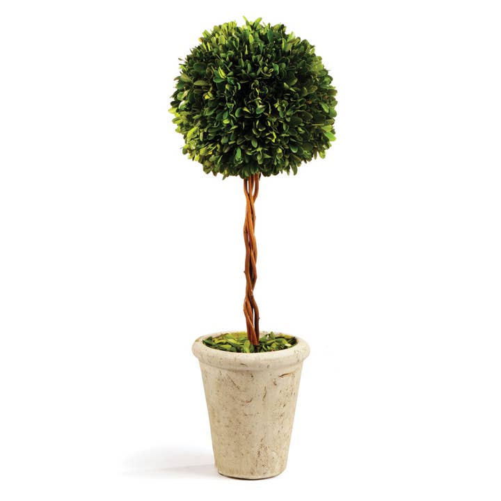 Boxwood Single Sphere Topiary 18.5" for wholesale by Napa Home & Garden