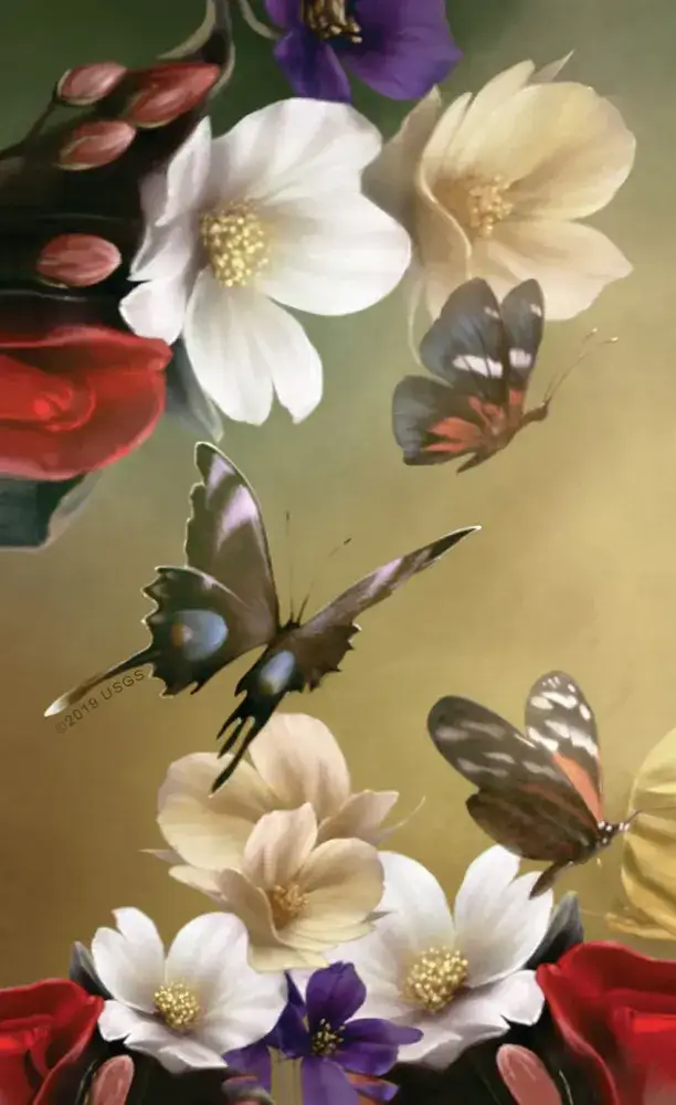 U.S. Games Systems Inc. - Wholesale Tarot Cards - Elle Qui Oracle9