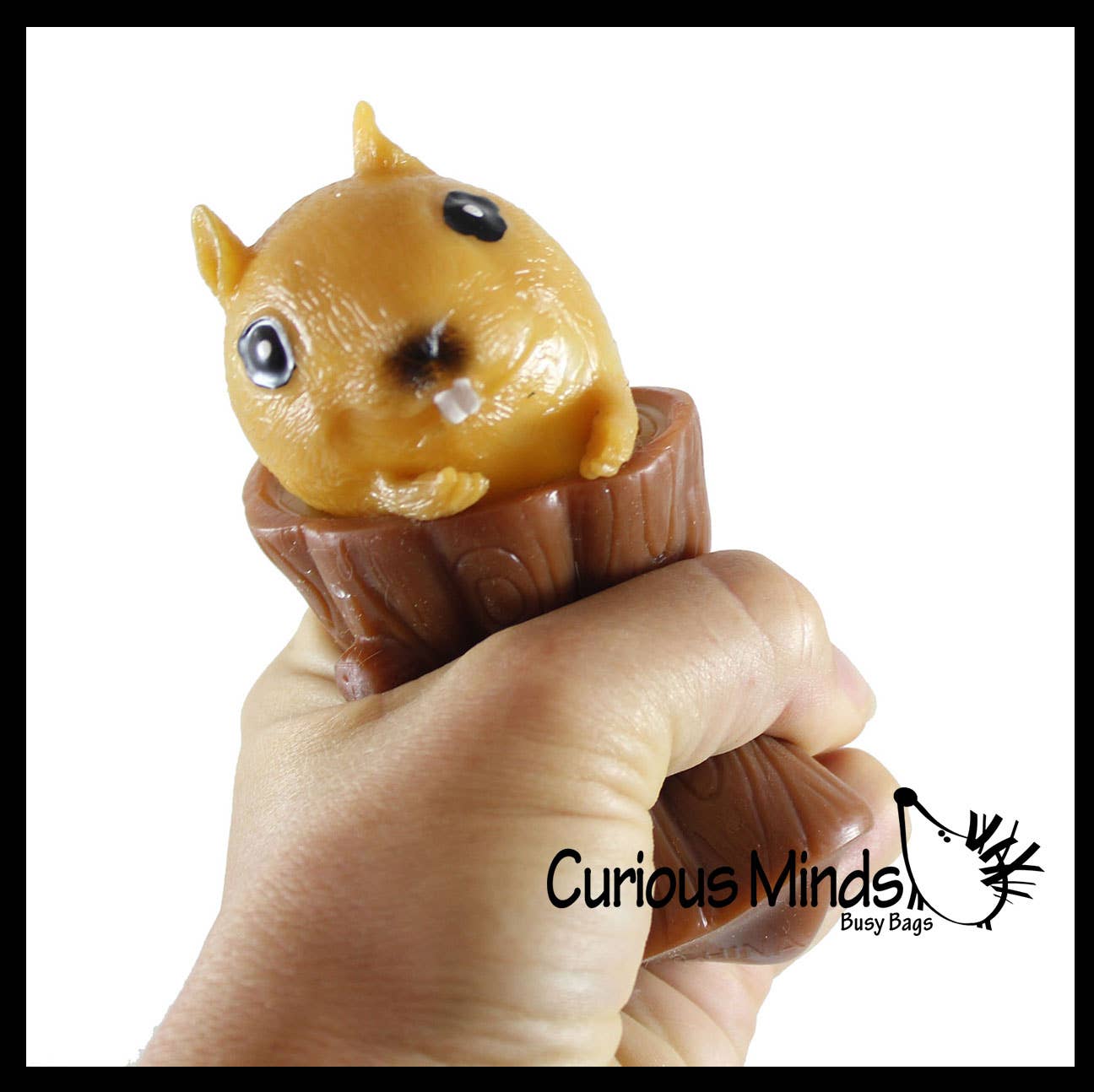 Curious Minds Toys - Wholesale Squishy Toy - Kids & Baby - 1 Squirrel in Stump - Adorable Pop Up - Cute Squeeze Toy - F8