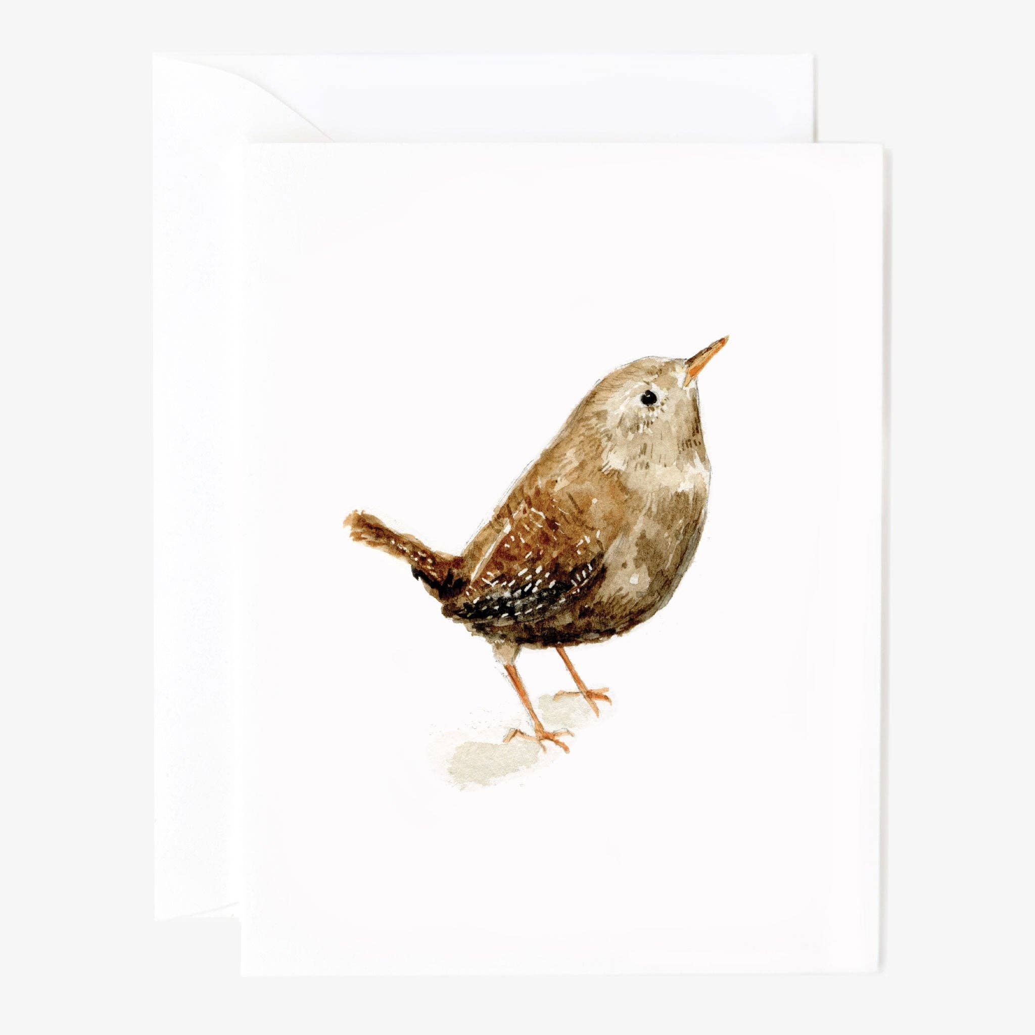 emily lex studio - Wholesale Stationery/Notecard Set - birds assorted notecard set4
