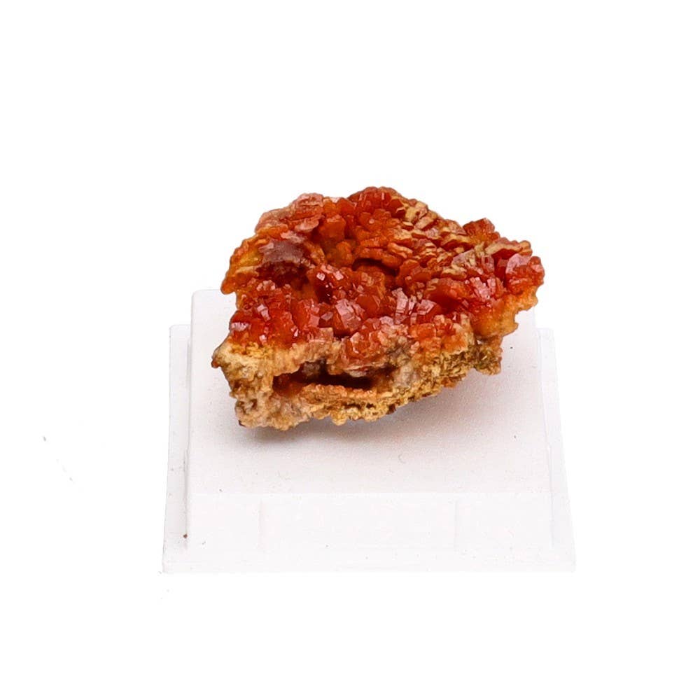 Vives de la Cortada S.L - Wholesale Spiritual Stone/Crystal - Crude Vanadinite.- Motivation-Collection Minerals
