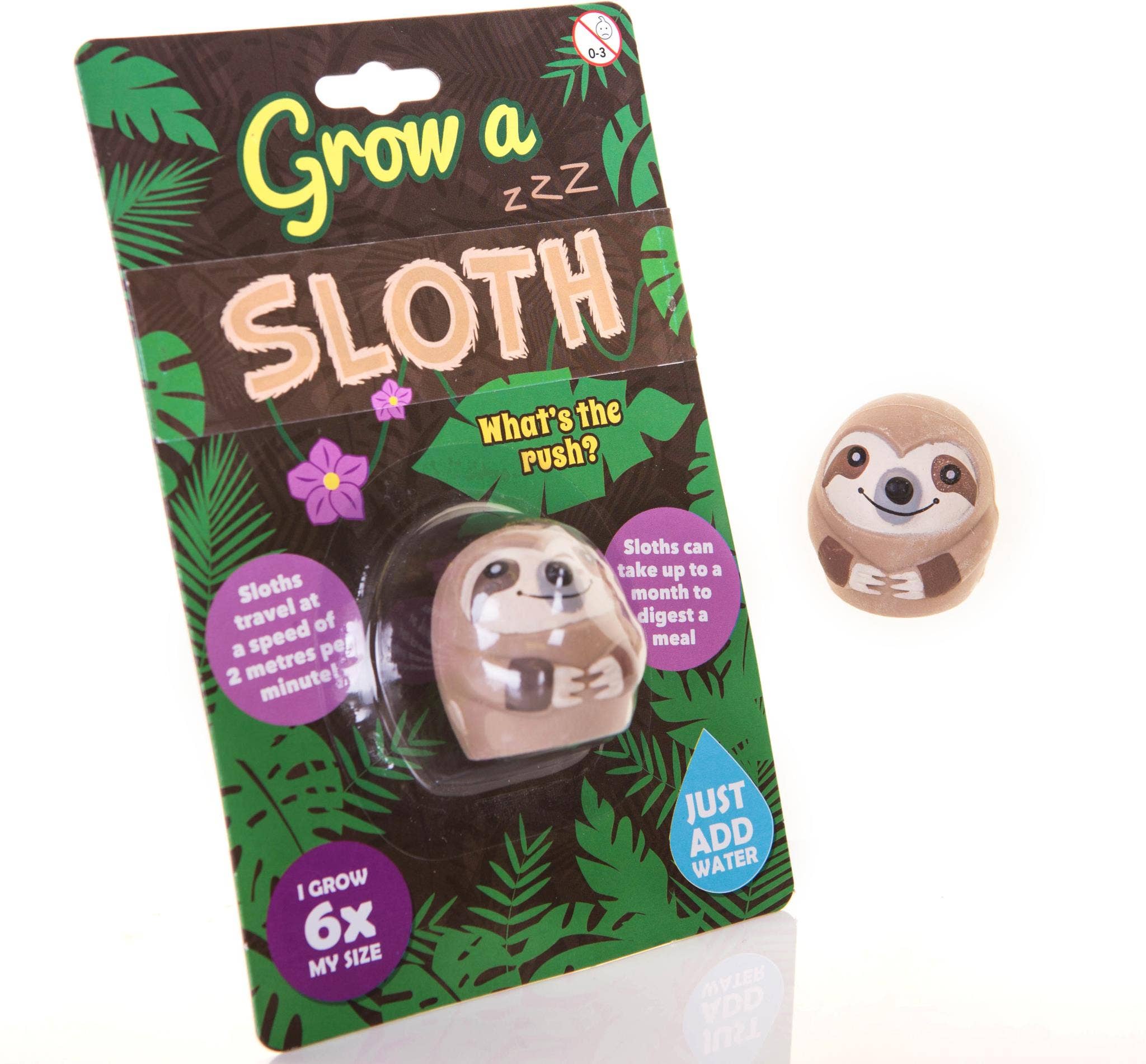 Boxer Gifts - Wholesale Classic Toy - Kids - Grow A Sloth Stocking Stuffer Toy - Kids Christmas Gift5