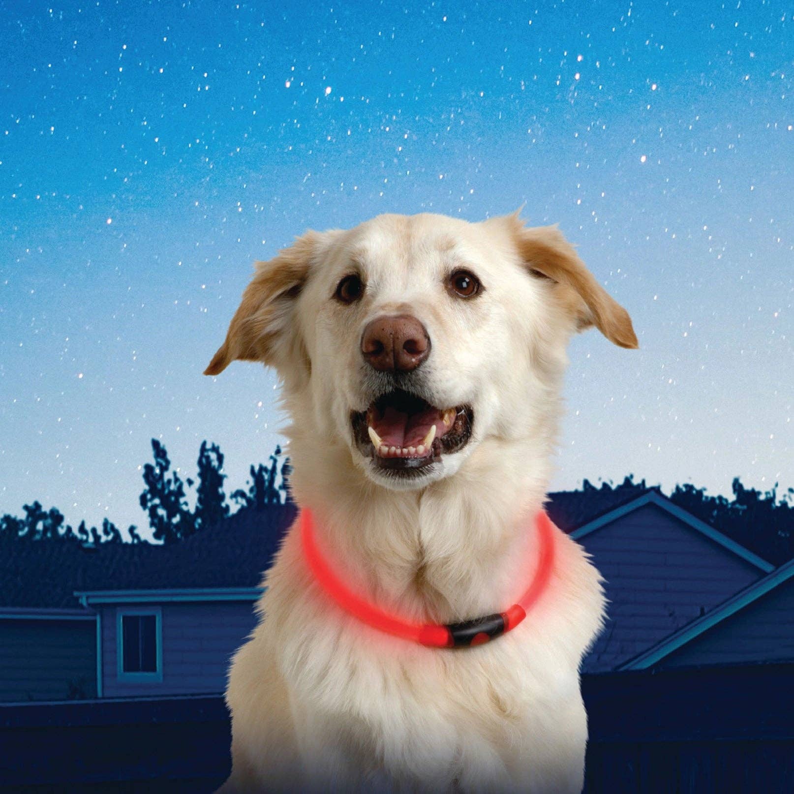 Mr. Peanut's - Wholesale Pet Collar - Dog - Nite Ize NiteHowl™️ LED Safety Necklace5