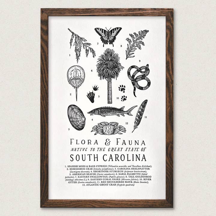 The Wild Wander - Wholesale Art Print - South Carolina Field Guide0