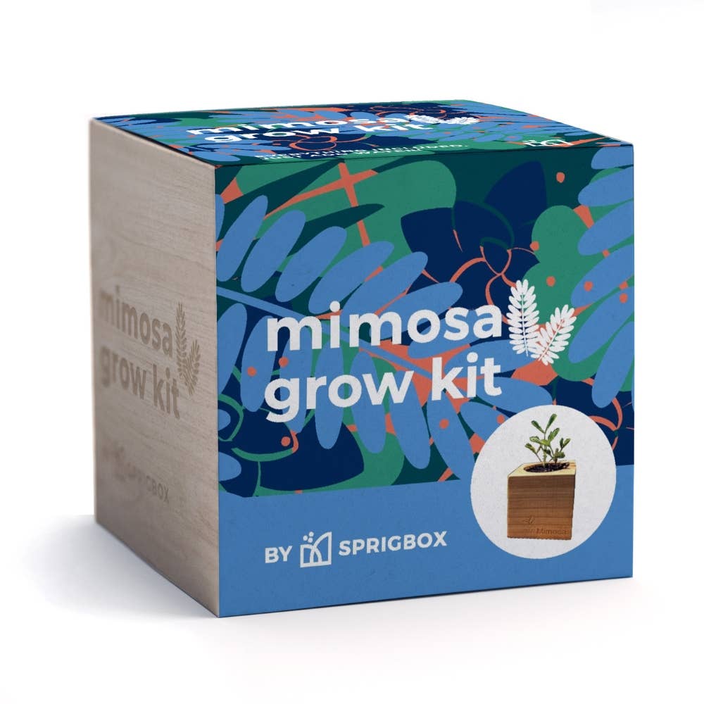 Sprigbox - Wholesale Plant Seeds - Mimosa Grow Kit | Wooden Planter | Touch-Me-Not |Unique Gift