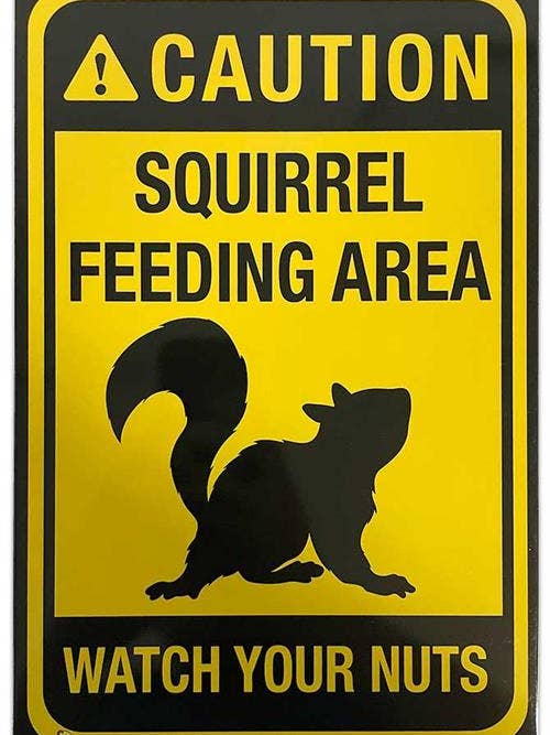 Caution Squirrel Feeding - Tin Sign 20x30cm - 7.87" x 11.81" for wholesale by Scorpio Posters