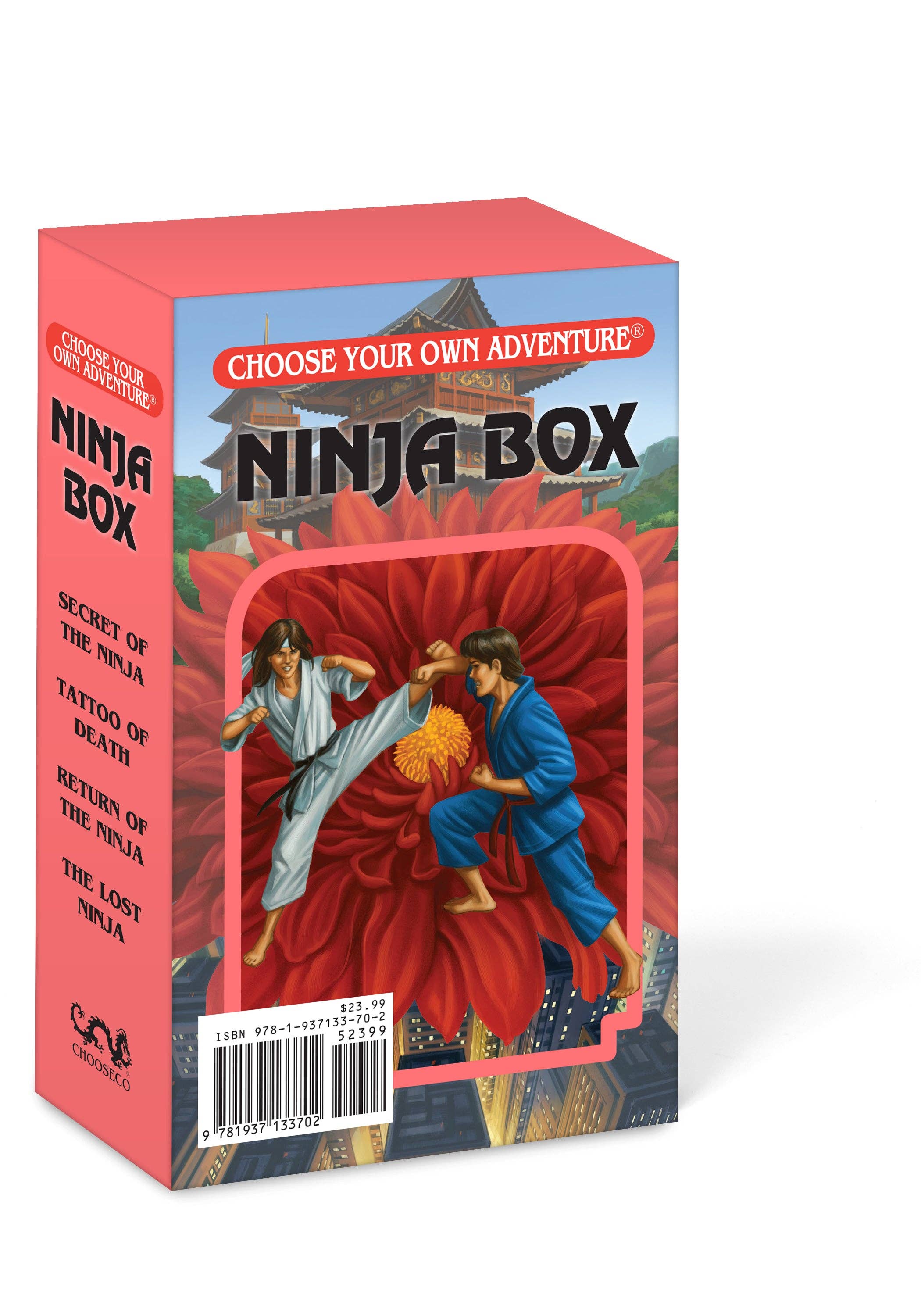 Choose Your Own Adventure - Wholesale Middle Grade Book (9-12) - Ninja Box, Children's Books1
