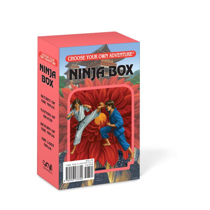 Choose Your Own Adventure - Wholesale Middle Grade Book (9-12) - Ninja Box, Children's Books1