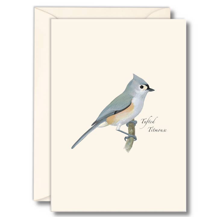Earth Sky + Water - Wholesale Stationery/Notecard Set - Tufted Titmouse