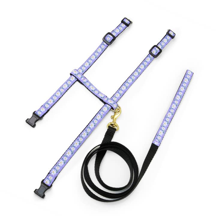 Daisy Cat Harness Set for wholesale by Up Country, Inc.