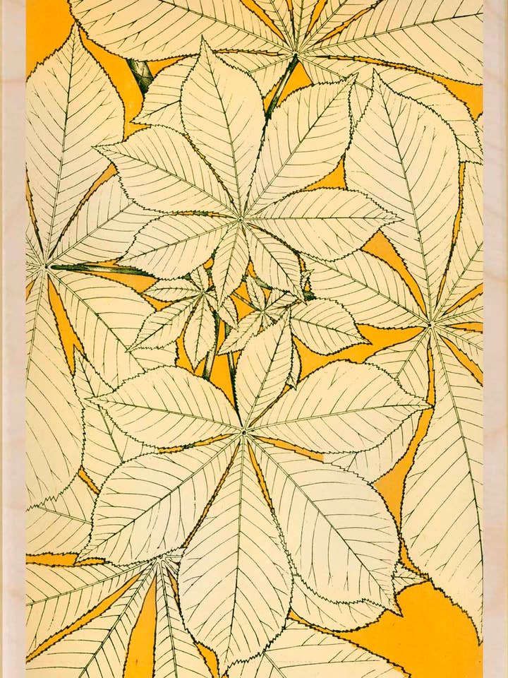 Leaves from Nature - Eco-friendly cards & magnets for wholesale by THE WOODEN POSTCARD COMPANY