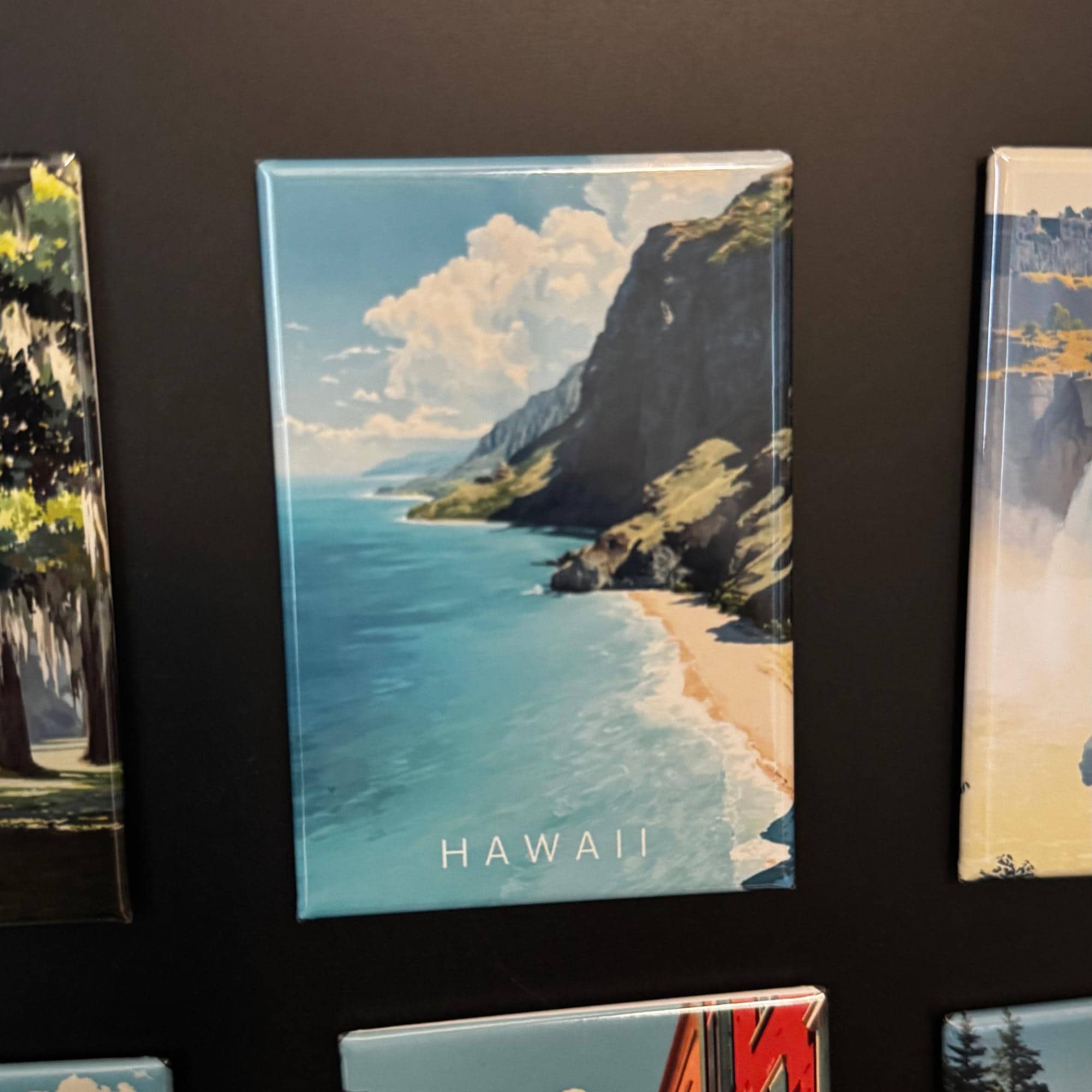 Tieu Magnetic - Wholesale Magnet - Hawaii Magnet | Nā Pali Coast | Strong Magnetic Backing1
