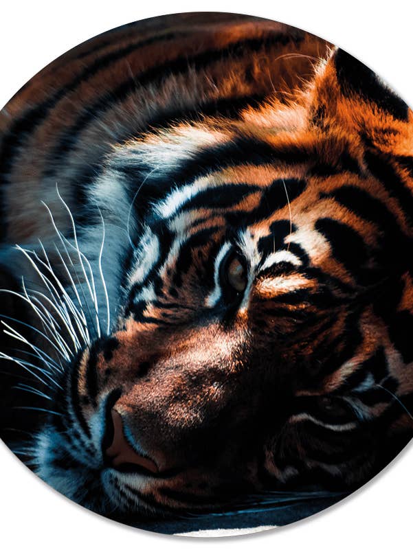 Muurcirkel med tigermotiv för wholesale av Label2X B.V.