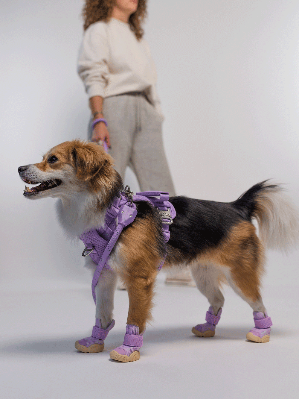 RIFRUF - Vente Bottines – chien - César 124