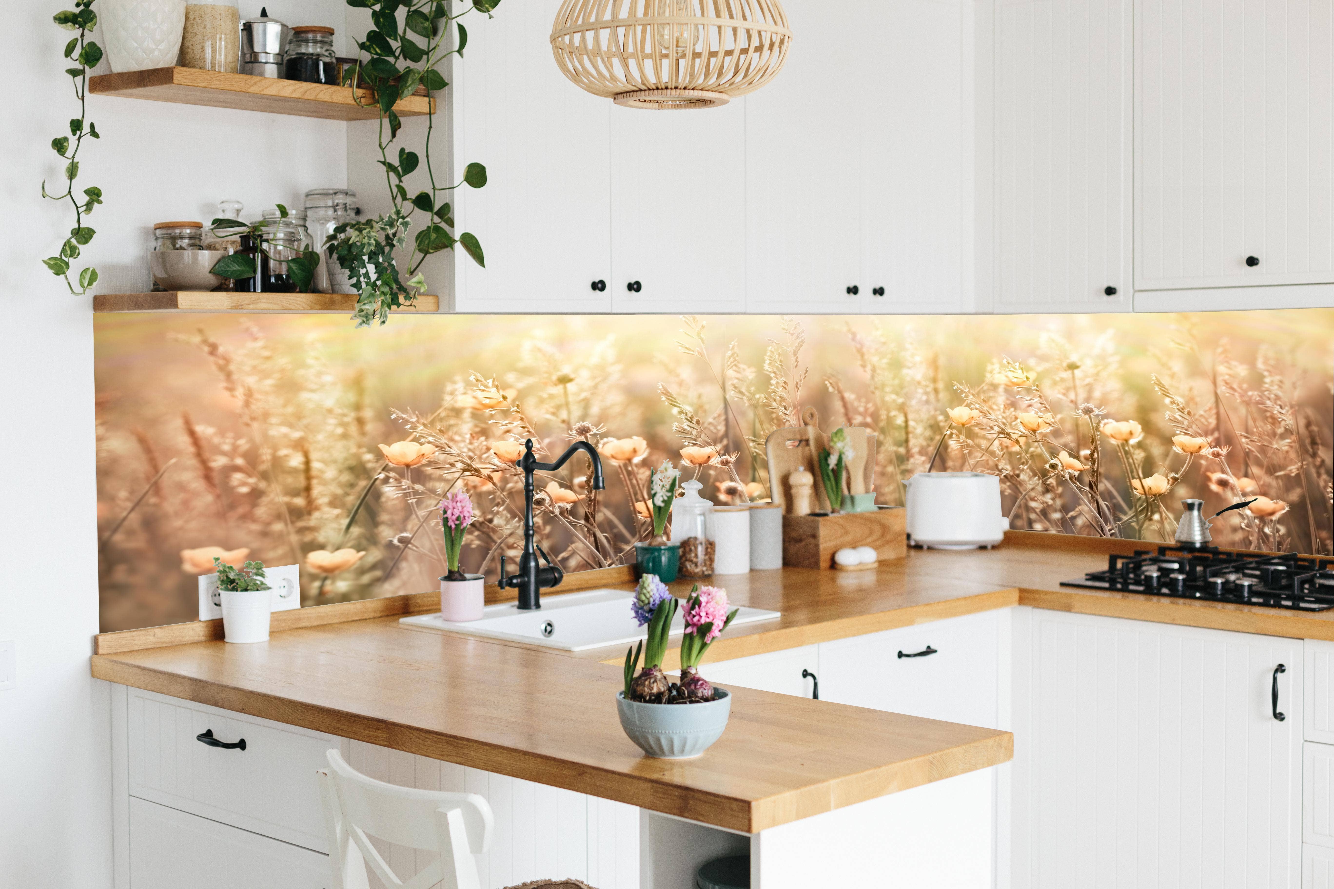 Rueckwand24 - Wholesale Wall Paneling - Kitchen backsplash - Flower field with sun rays - ALU Classic6