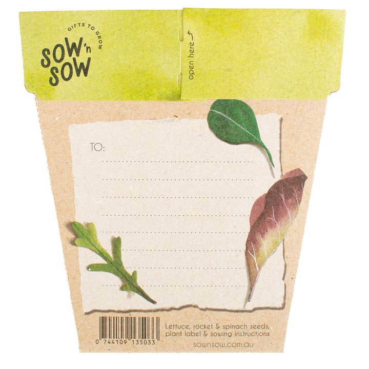 Sow 'n Sow - Vendita all'ingrosso Semi di piante - Regalo di semi di verdure a foglia verde (solo Australia)1
