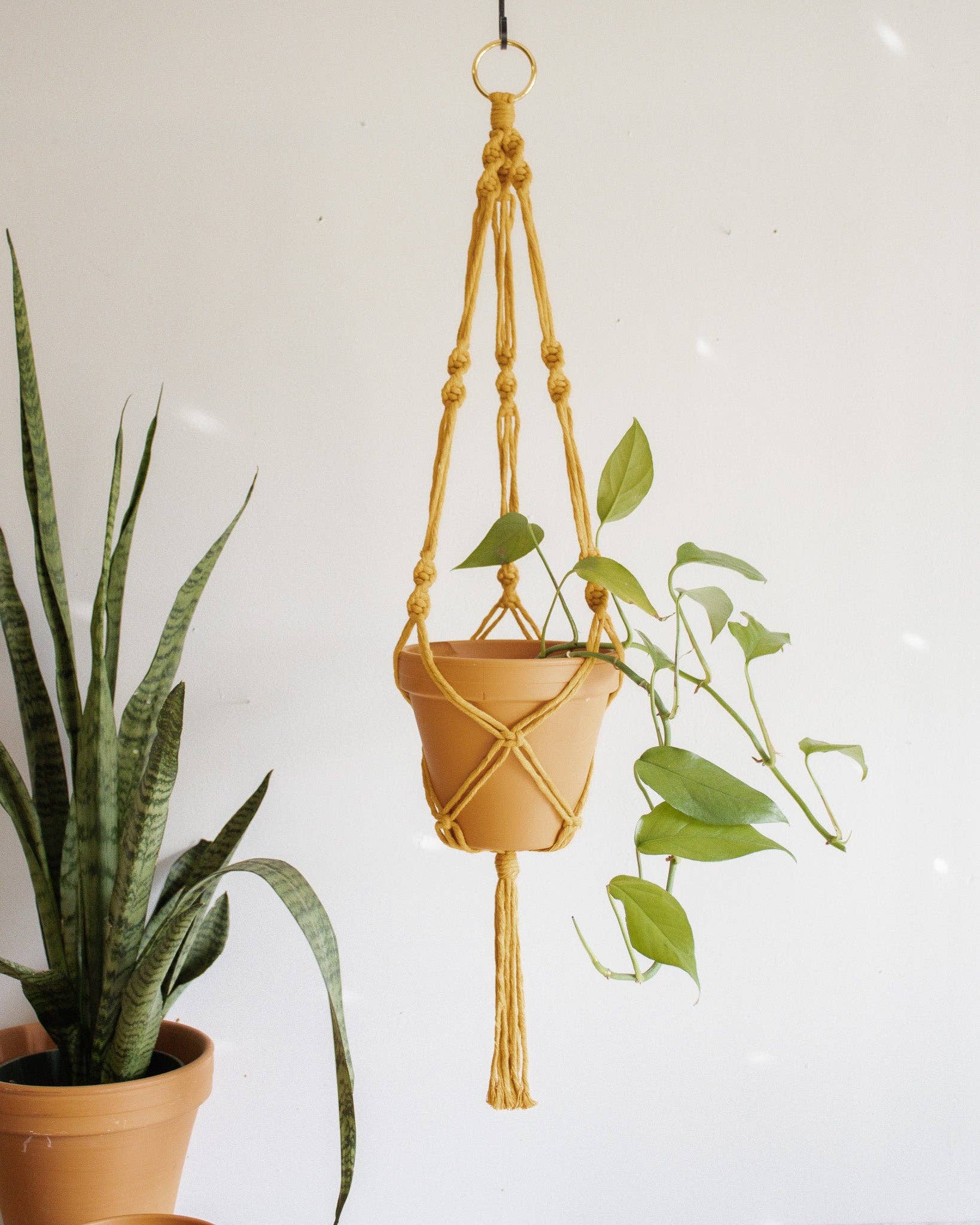 Modern Bo Studio – Vasos suspensos por atacado – Suporte para Planta em Macramê Simples com Torção6