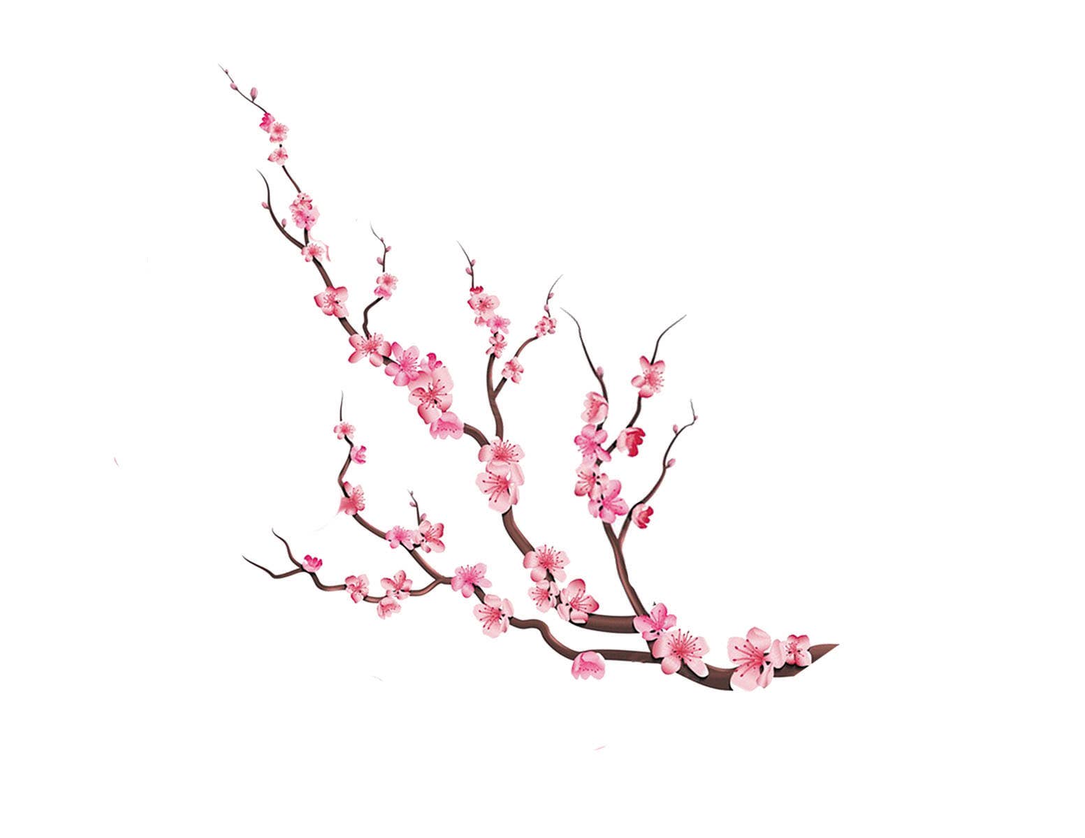 MacHatton & Hall, LLC - Wholesale Vase - Cherry Blossom flower arranger2