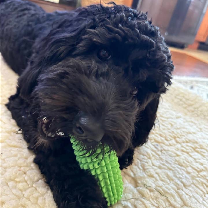 Green Waves Co. - Wholesale Pet Chew Toy - Dog - Corn-Shaped Dental Chew Toy13