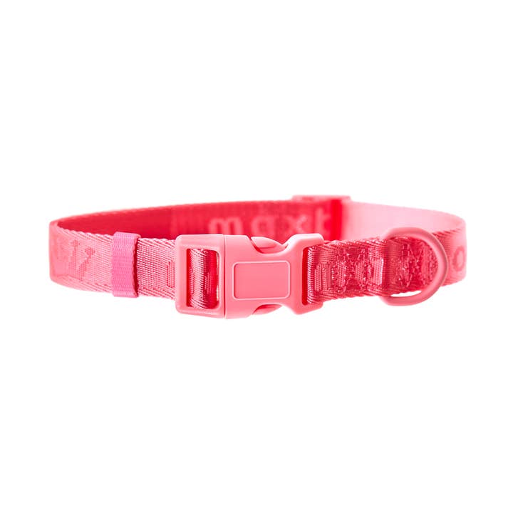 ARISTOPET - Wholesale Pet Collar - Dog - SIGNATURE COLLAR