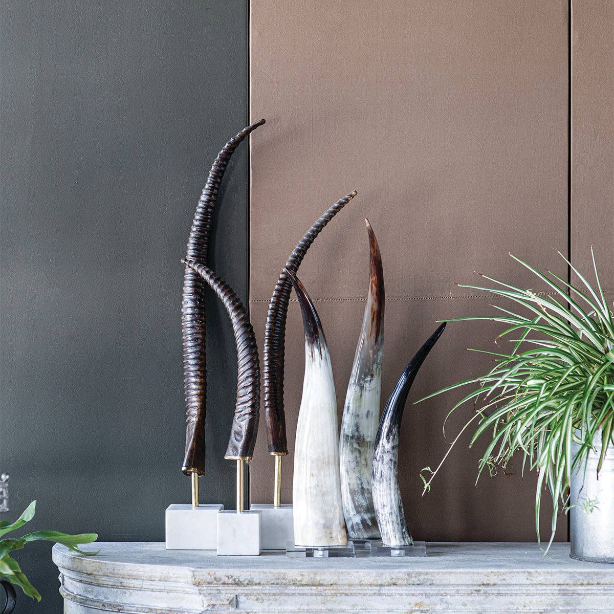 Blue Ocean Traders - Wholesale Decorative Tabletop Object - Black and White Cow Horn on Base1