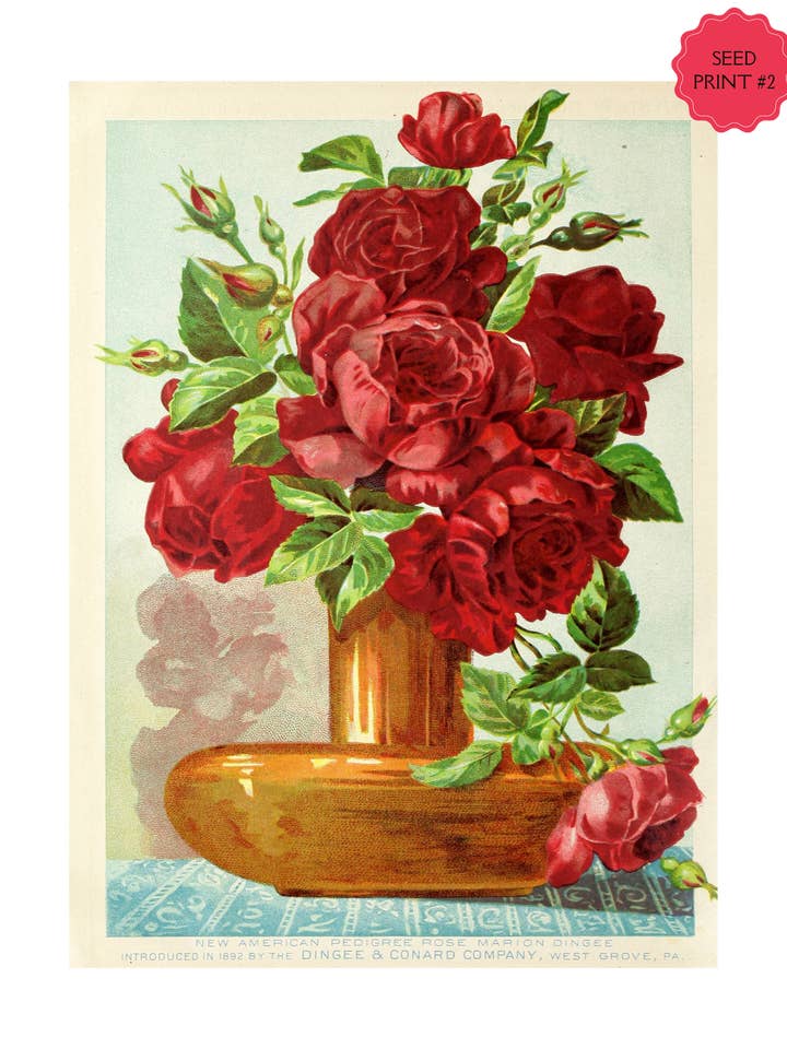 KUNSTDRUCK „SEED PACKET“ IM VINTAGE-STIL #2 für den Großhandel von Soraya Moon Co.