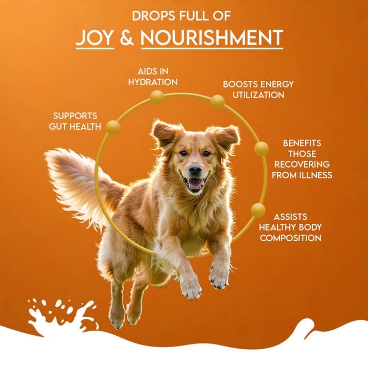 Pawfect Pet Foods Pvt Ltd - USA - Wholesale Pet Supplement - Dog - Nature's Sip for Dogs: Goat's Milk with Pumpkin, Pumpkin Seeds, Apple & Cinnamon