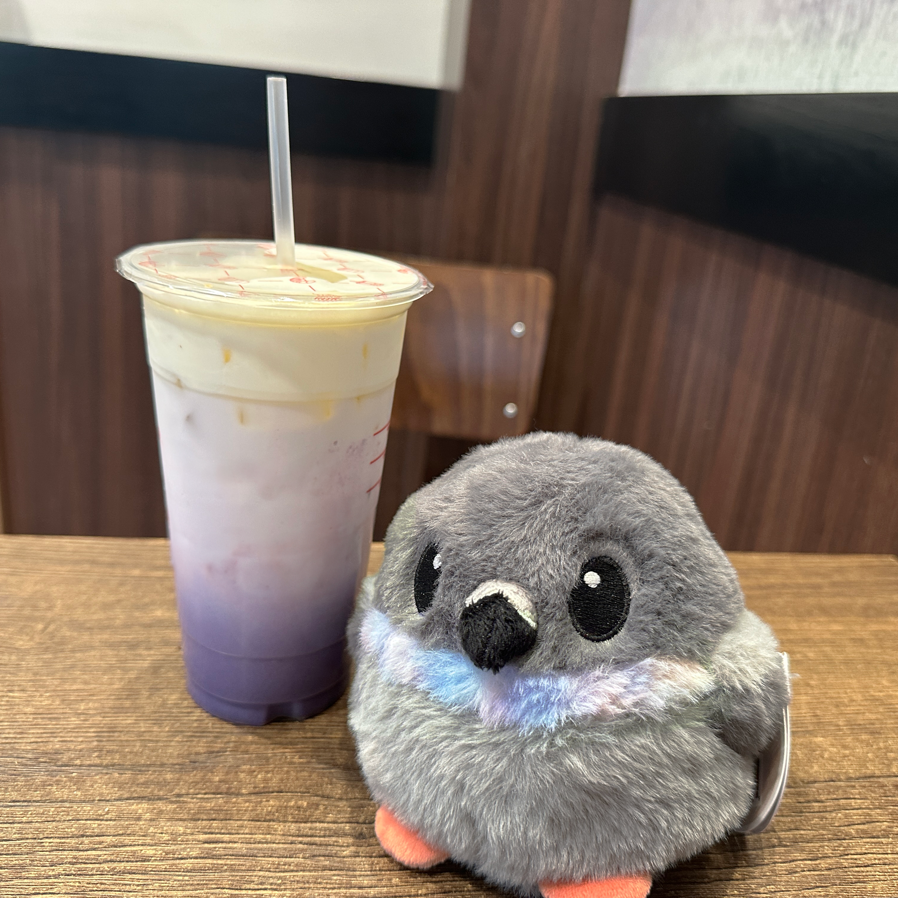 Borbs - Wholesale Stuffed/Plush Toy - Kids & Baby - 5" Pigeon Plush Bird Stress Ball | Round Rock Dove Borb2