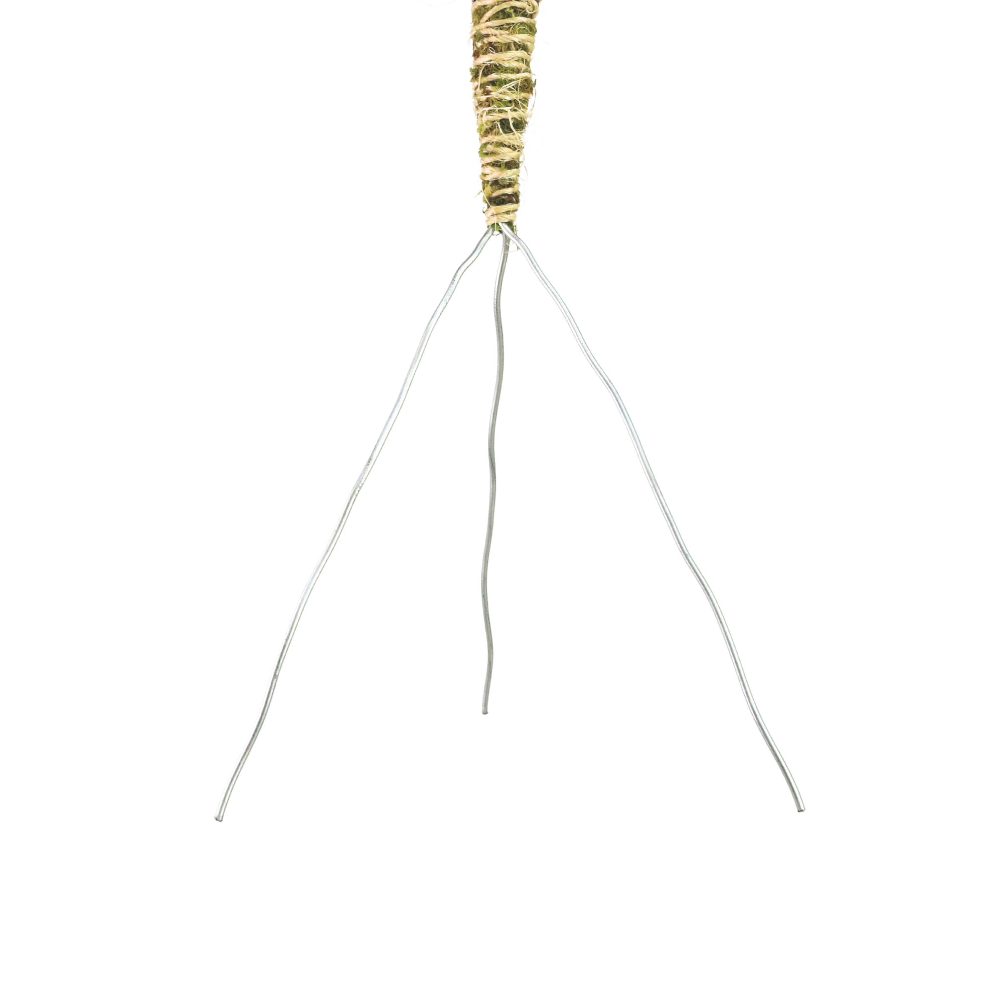 Mossify - Wholesale Garden Tool - 3 Pack Bendable Moss Pole Thin – Flexible Support for Plants12