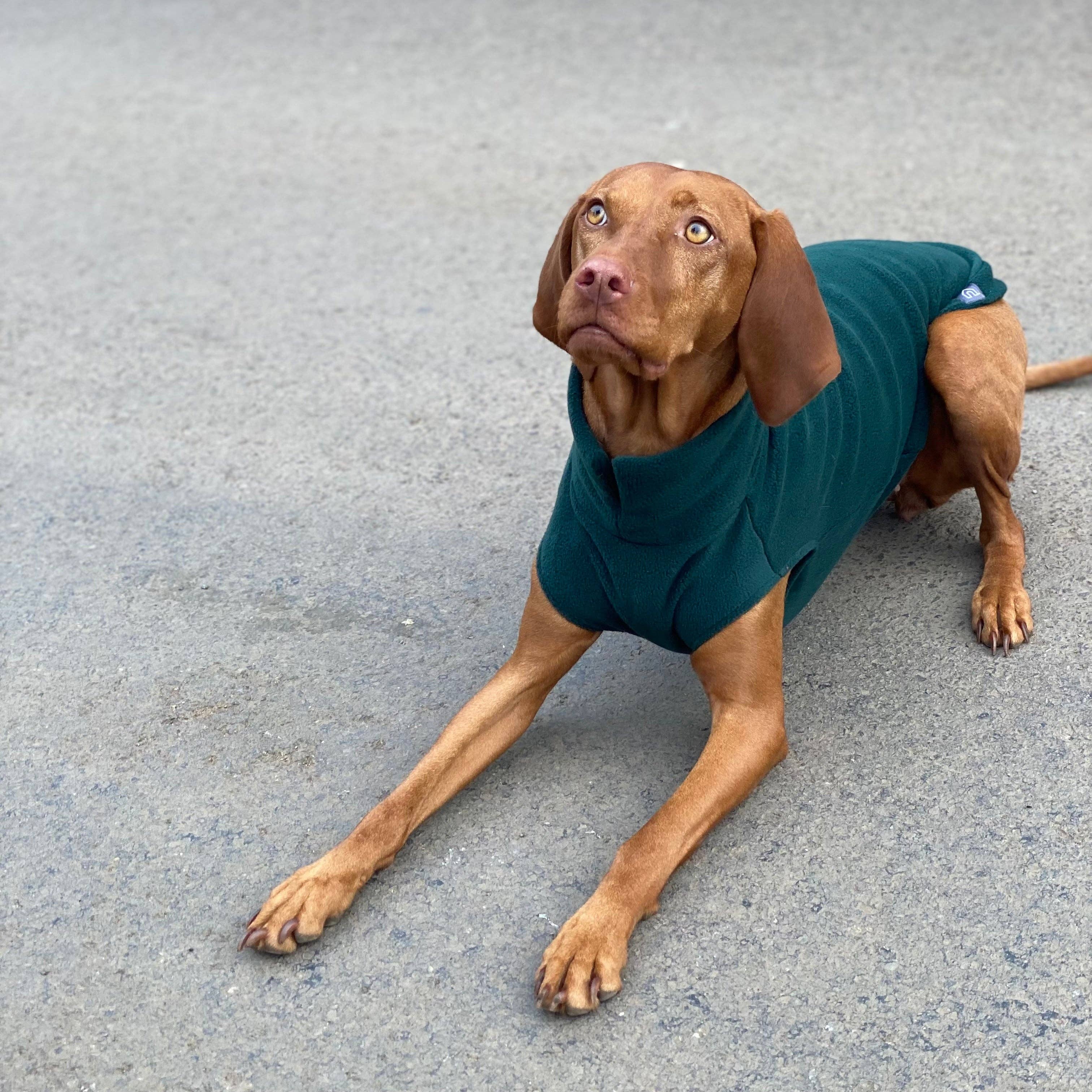 Doghouse – wholesale Tröja - Hund – Hundtröja i fleece för stora raser4