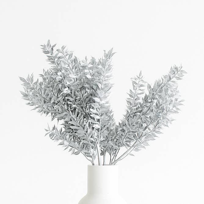 GS Foliage - Wholesale Dried/Pressed Flowers - Metallic Painted Dried Ruscus - 3pc Bunch0