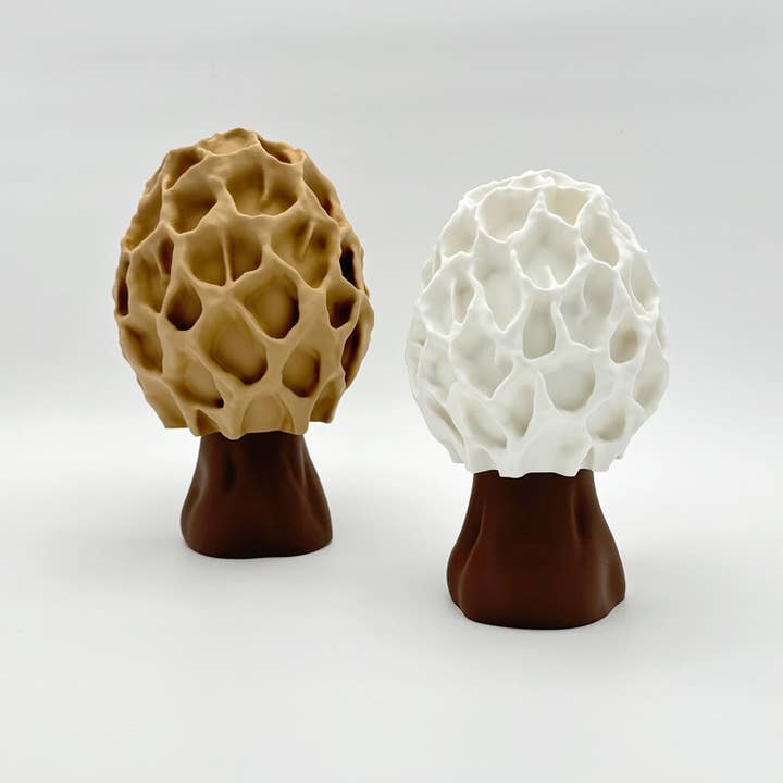 Brehmwood Creative - Wholesale Accent/Desk Lamp - Realistic Fungi Lamp | Fungus Light | Nature Decor | Fungi3