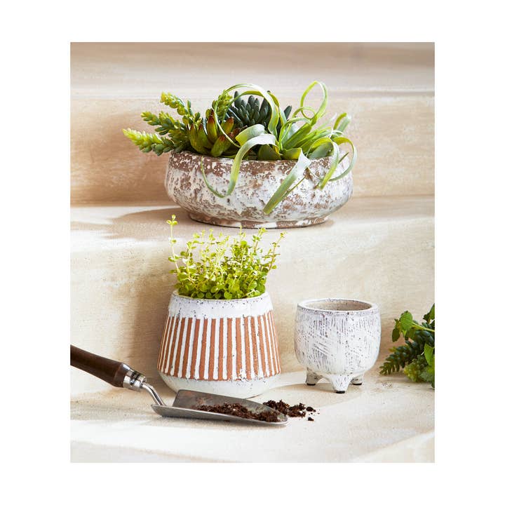 Laguna Low Bowl Planter - White Multi for wholesale on Faire