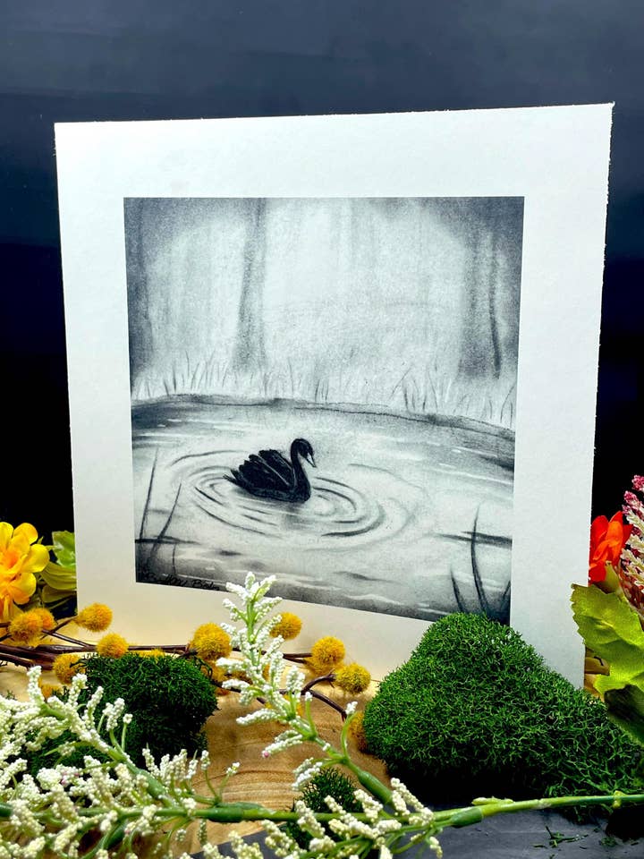 Black Swan Charcoal Print for wholesale by Burning Branches Creatives