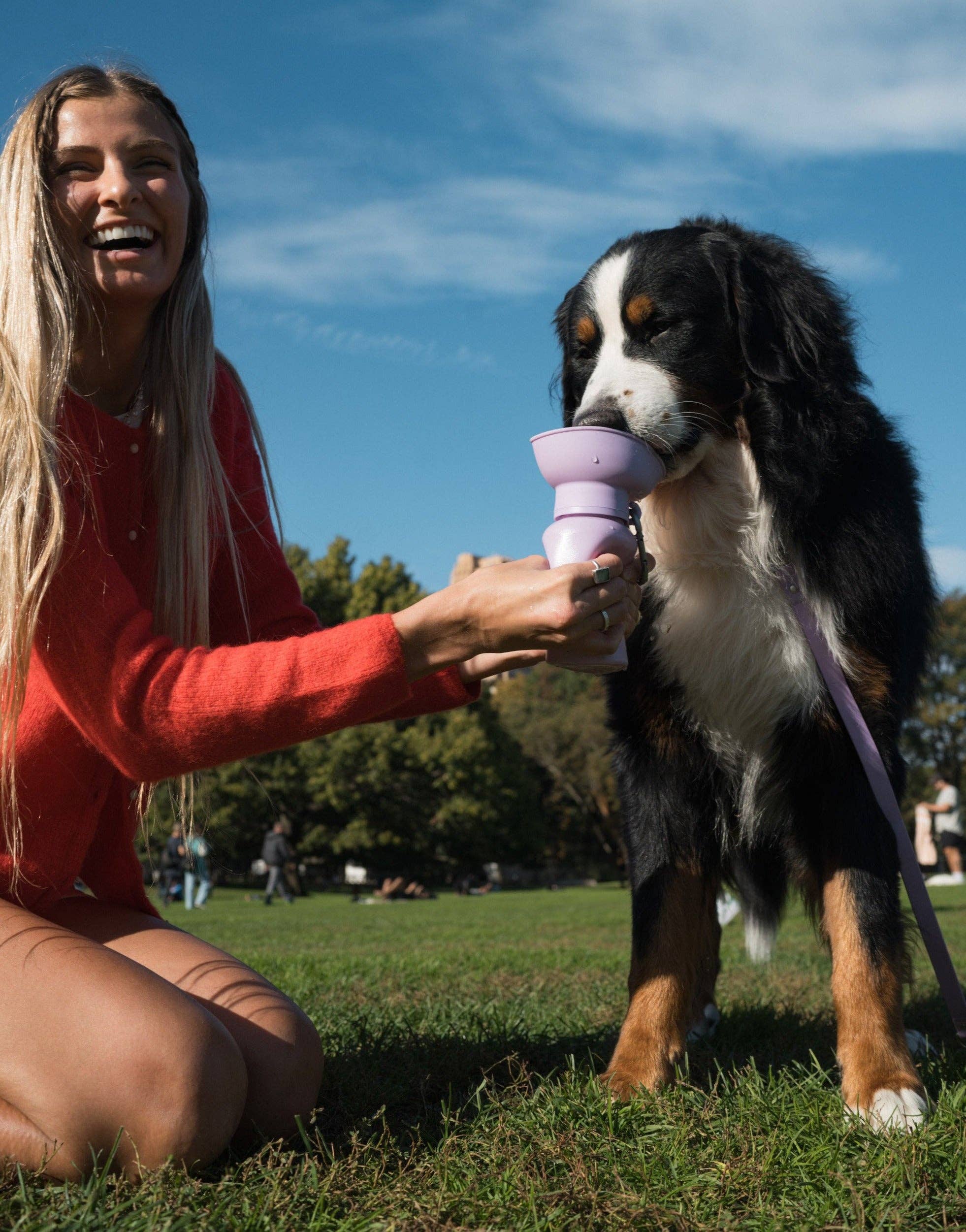 Springland Pets – garrafa de água - Cão por atacado – Garrafa de Água para Viagem de Cão - 20oz Flip (Pack Misto de 12)5