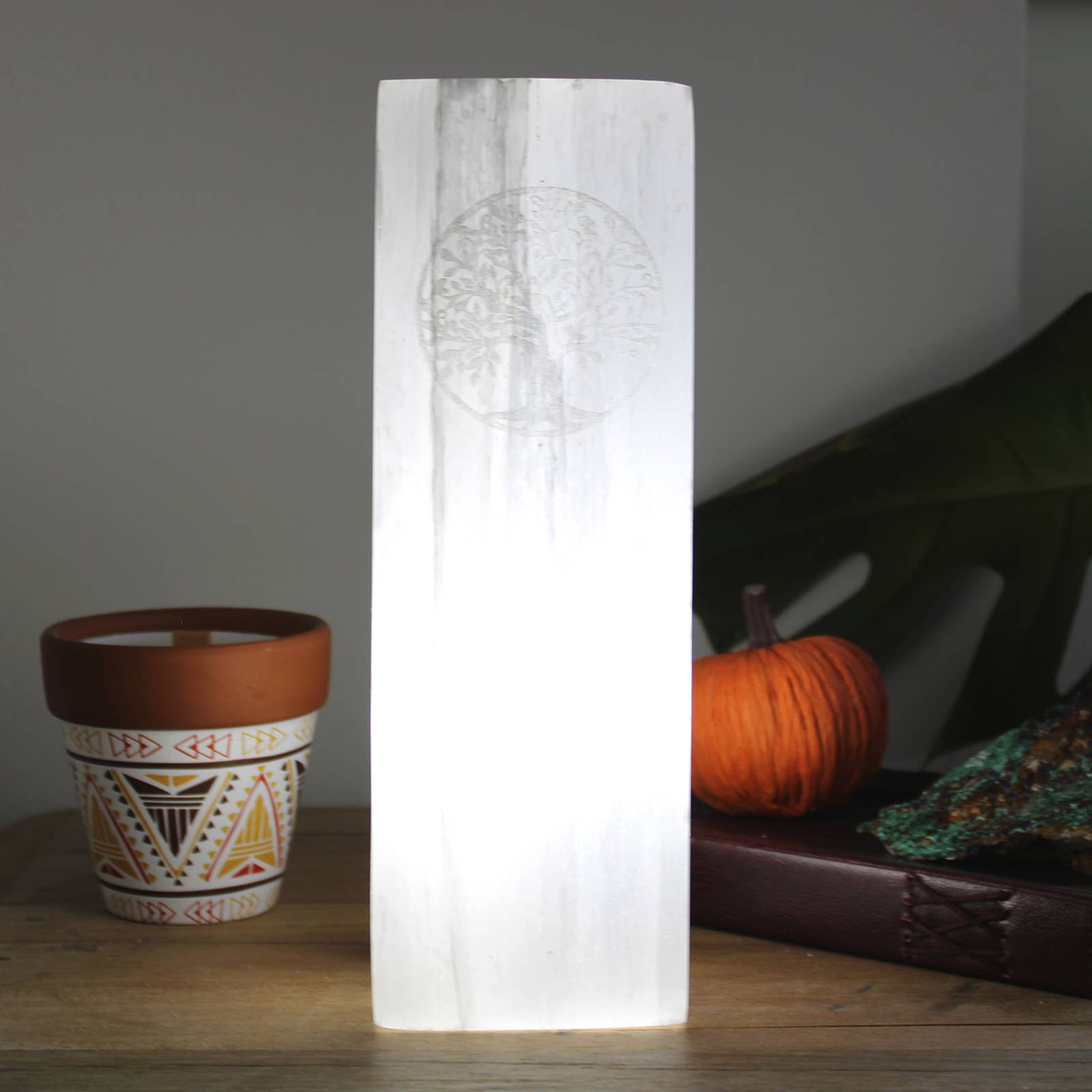 Ancient Wisdom – wholesale Accent/desk lamp – Selenite Block Lamp 25cm - Tree of Life - UK plug4