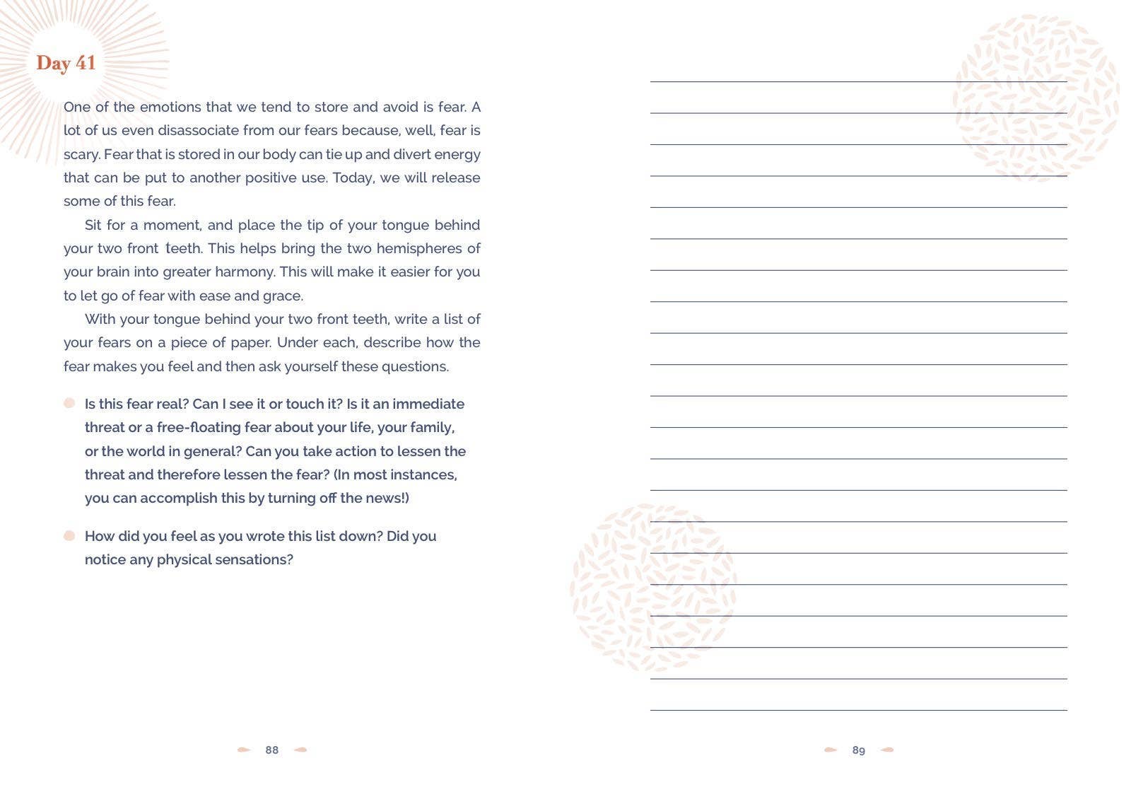 Hachette Book Group - Wholesale Journal/Diary - 100 Days to Calm: A Journal for Finding Everday Tranquility5